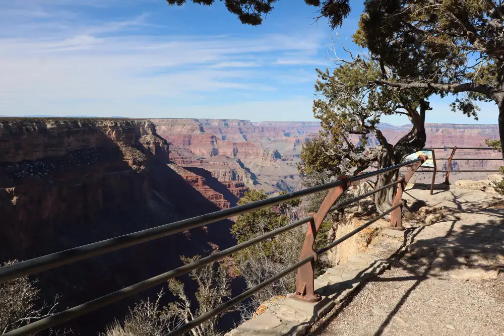 Vue panoramique depuis Hopi Point au Grand Canyon, avec balustrade en bois et arbres surplombant les gorges