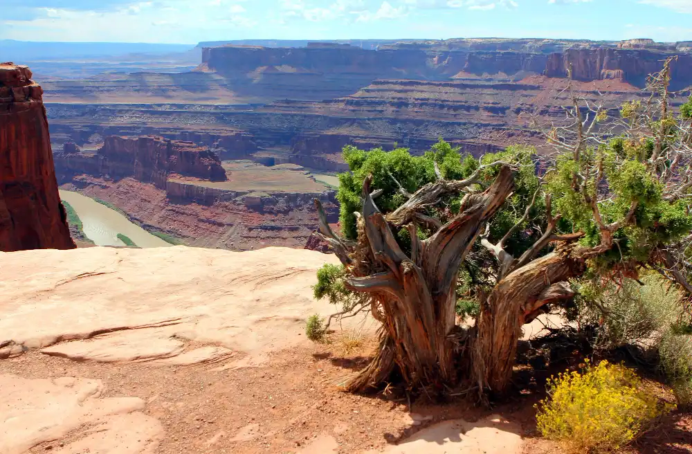 Lipan Point avec vue sur le fleuve Colorado et les strates rocheuses