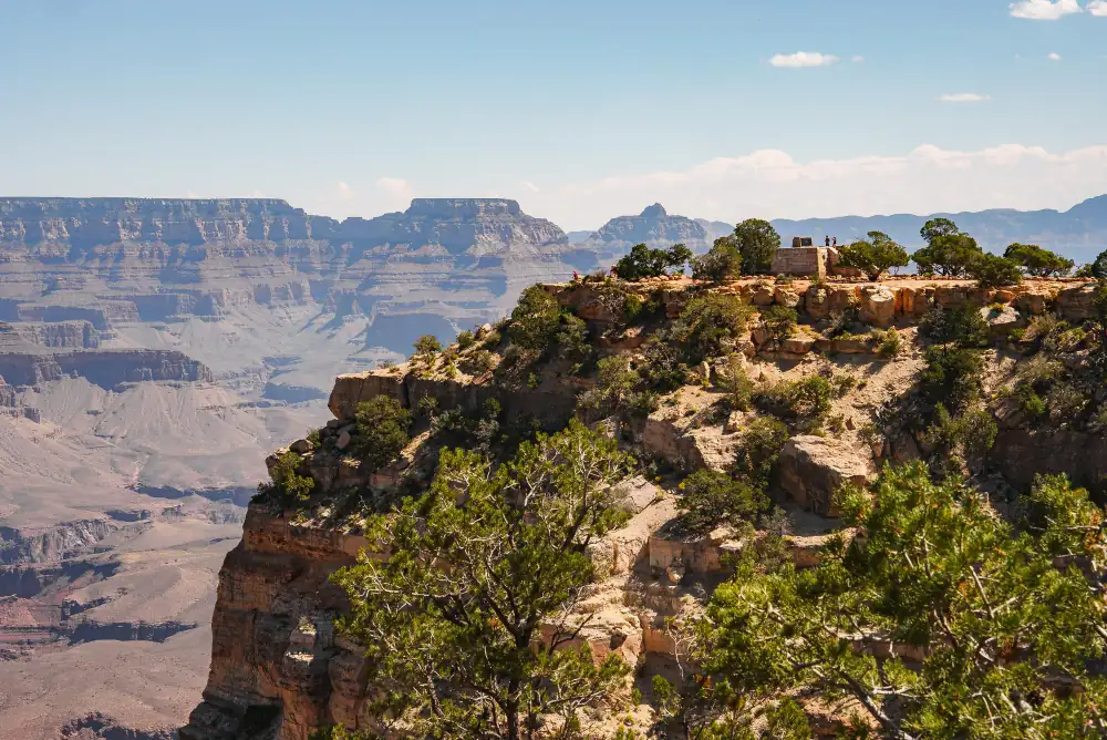 Vue panoramique depuis Moran Point au Grand Canyon avec végétation en premier plan