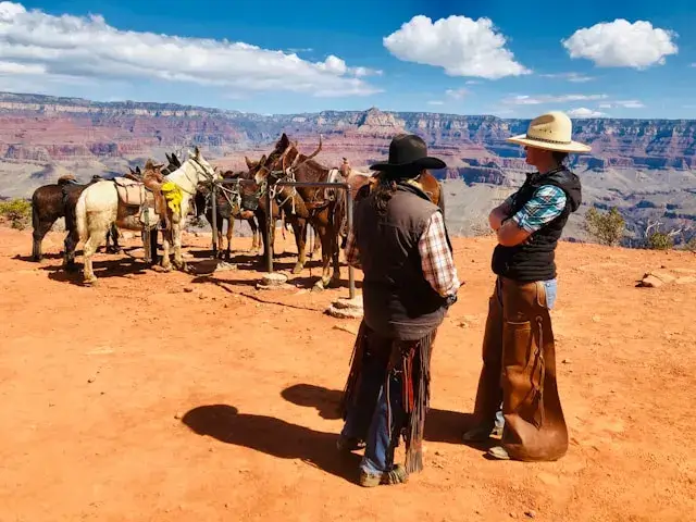 Excursion à dos de mule depuis Grand Canyon Village, une activité emblématique du South Rim du Grand Canyon.