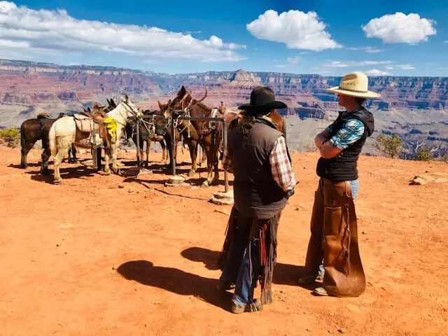 balade à cheval grand canyon cowboys chevaux vue panoramique canyon